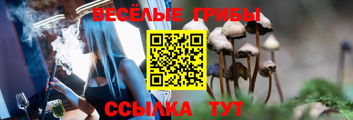 Галлюциногенные грибы Psilocybine cubensis Биробиджан
